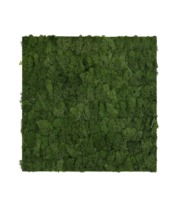 Jangal Modular Wall mospanel 52 x 52 cm - Dark Green